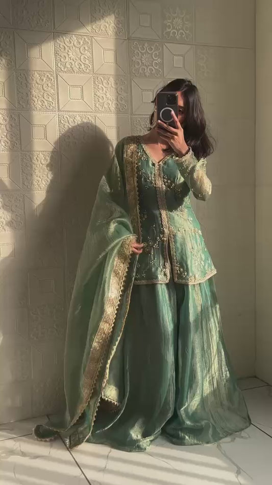 Fancy Embroidered Fancy Dress