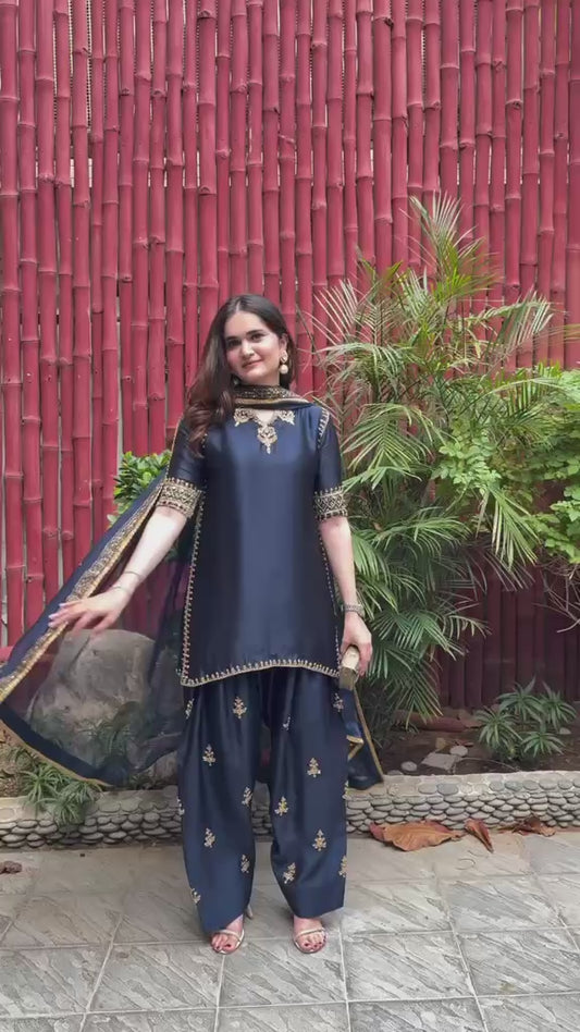 Blue Embroidered Fancy Dress