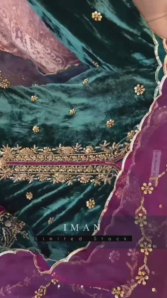 Embroidered Velvet Festive Dress