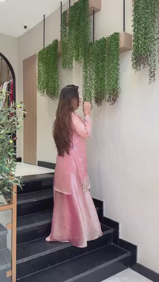 Women Festive Embroidered Dress