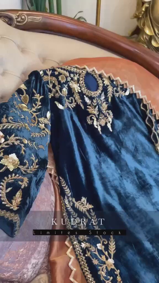 Winter Festive Embroidered Dress